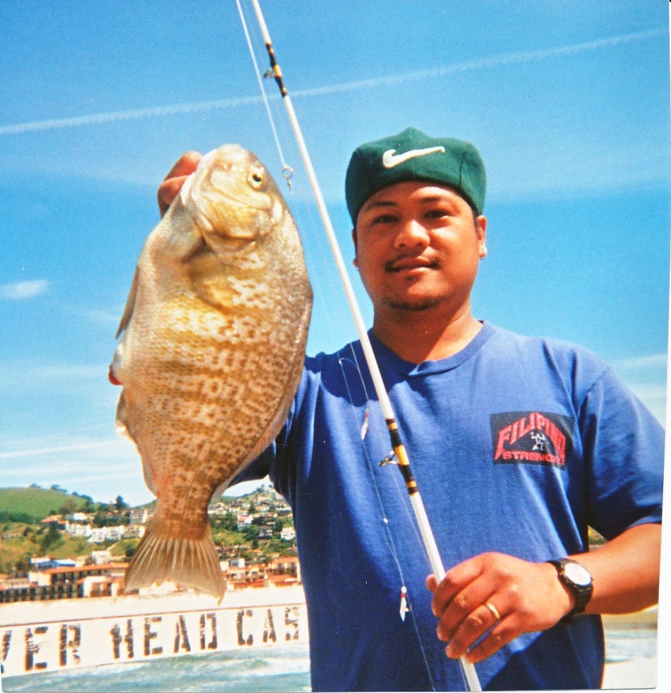 Barred Surfperch