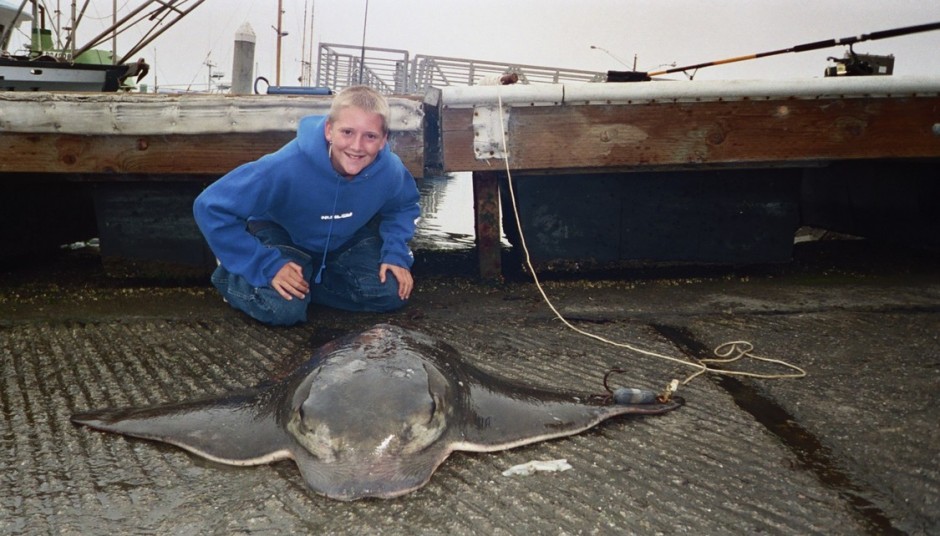 Bat_Ray_Morro_Bay_2006