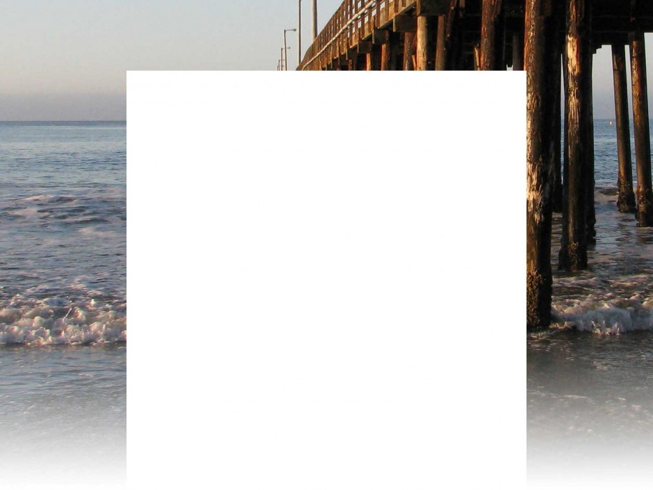 background31.jpg