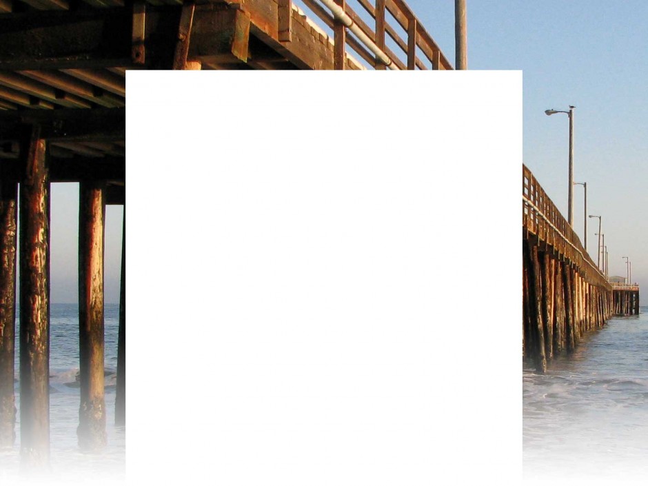 background4.jpg