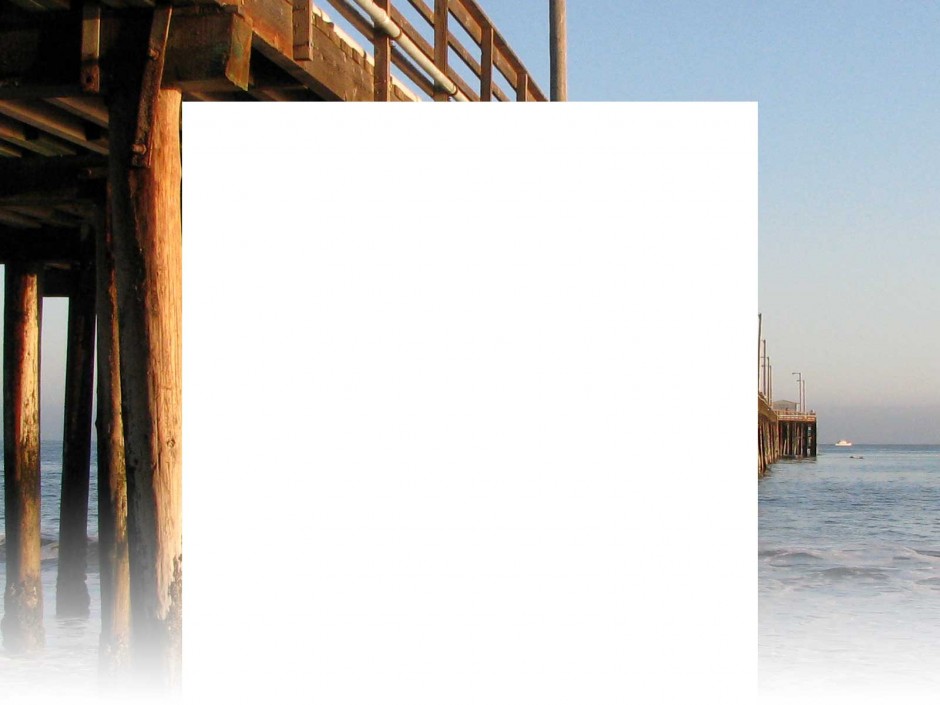 background5.jpg