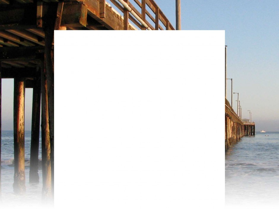 background54.jpg