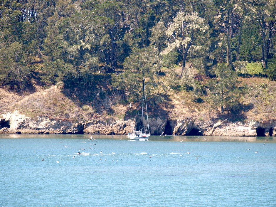 San Simeon Bay 1