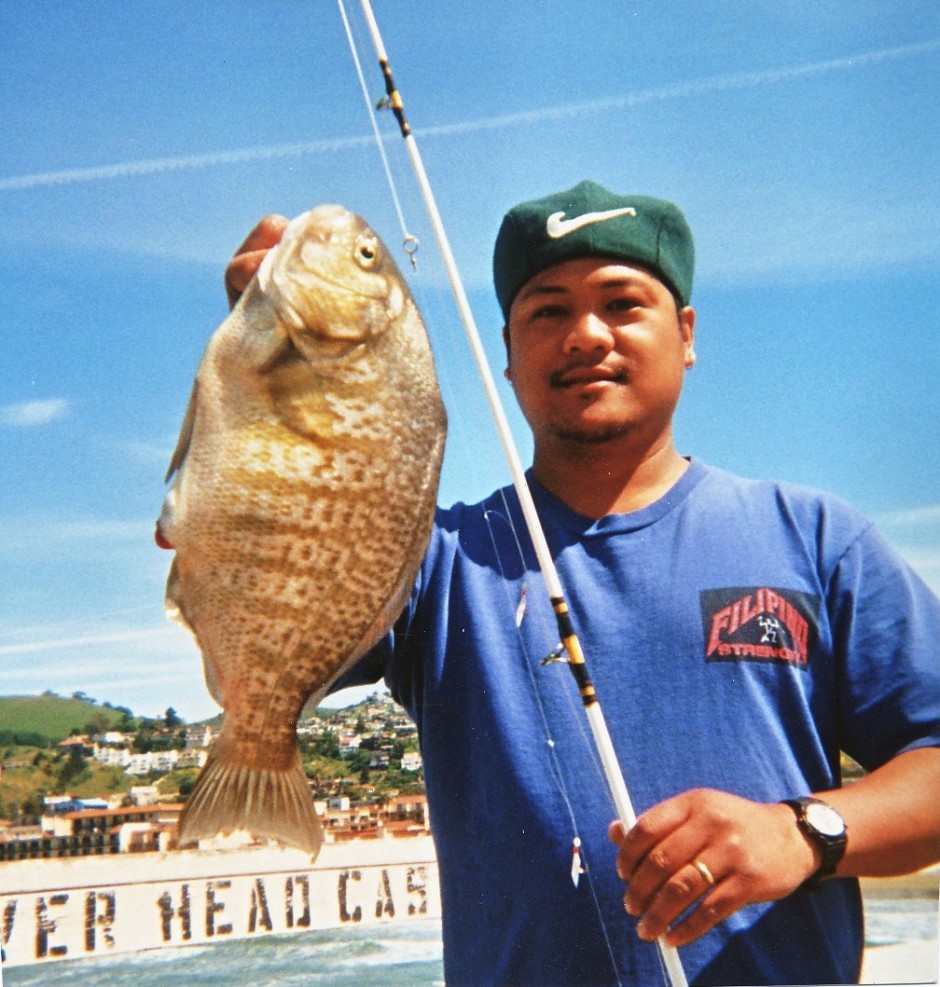 Pismo_Beach_Surfperch_1