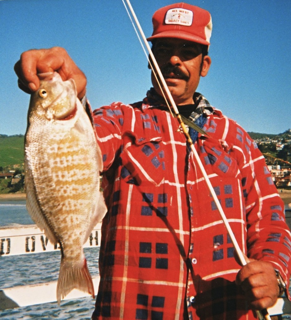Pismo_Beach_Surfperch_2