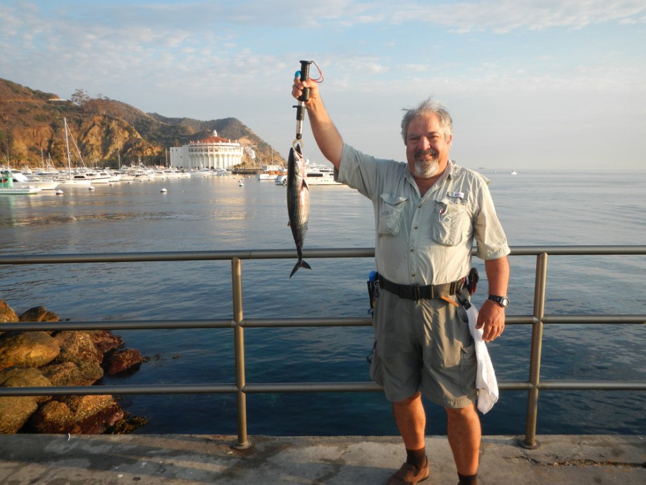 Cat_2015_Mole_Bonito_H4