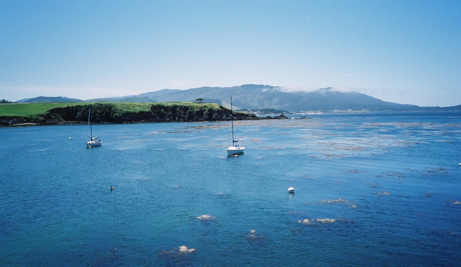 Stillwater_Cove_coast_2005