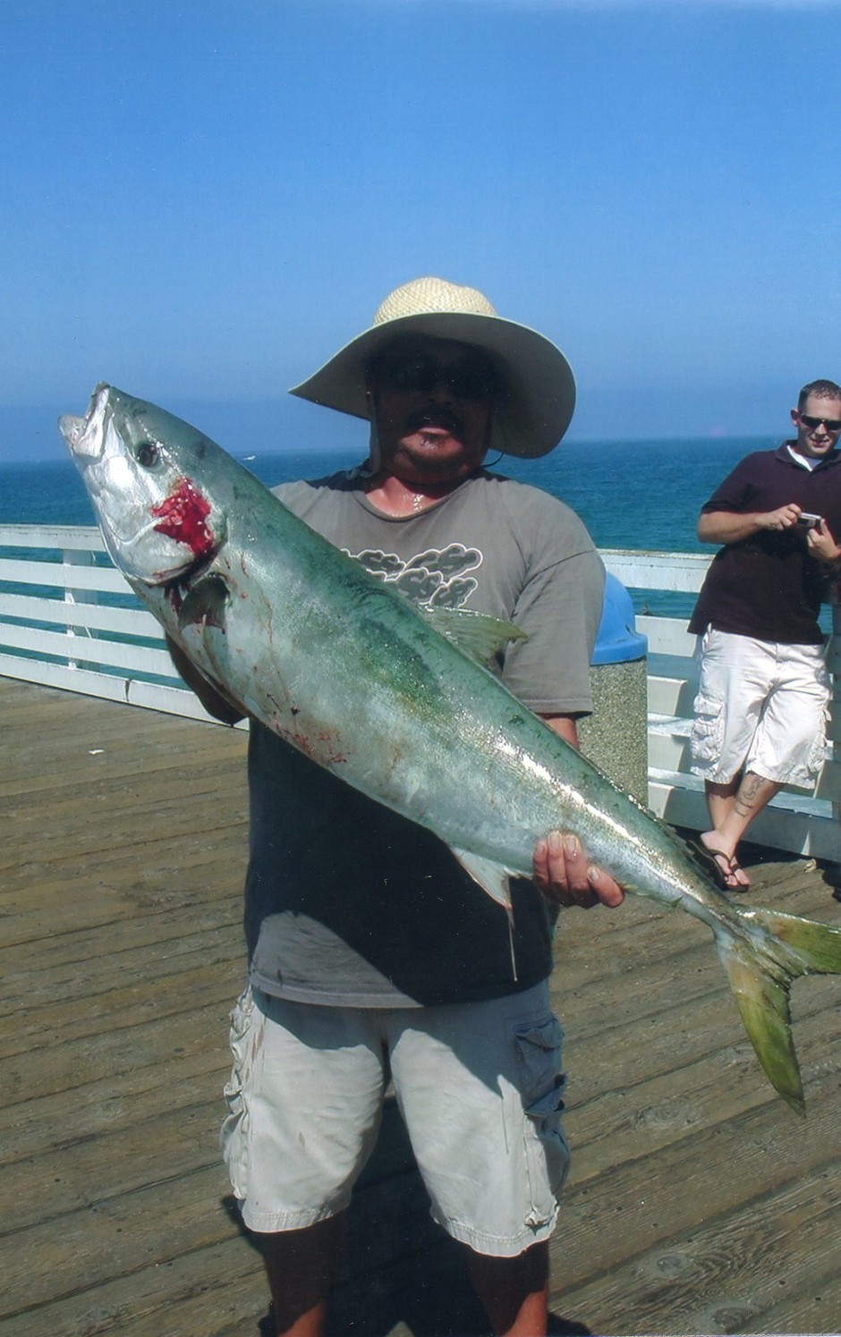 Crystal_Pier_Yellowtail_8_2012