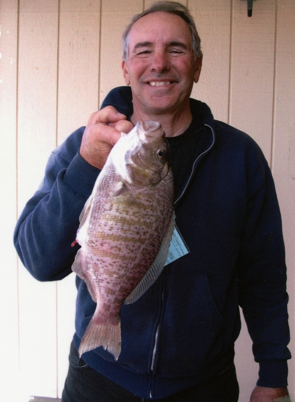 Barred_Surfperch_4lb_Cayucos_2008.5a