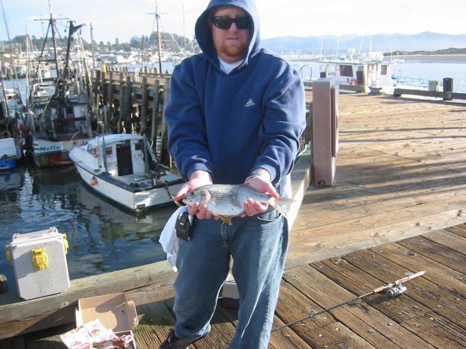 Pileperch2_MBNT_2008_CayucosJack