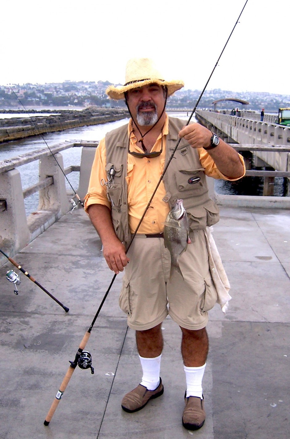 Pileperch_Cabrillo_2007_Hashem_1a
