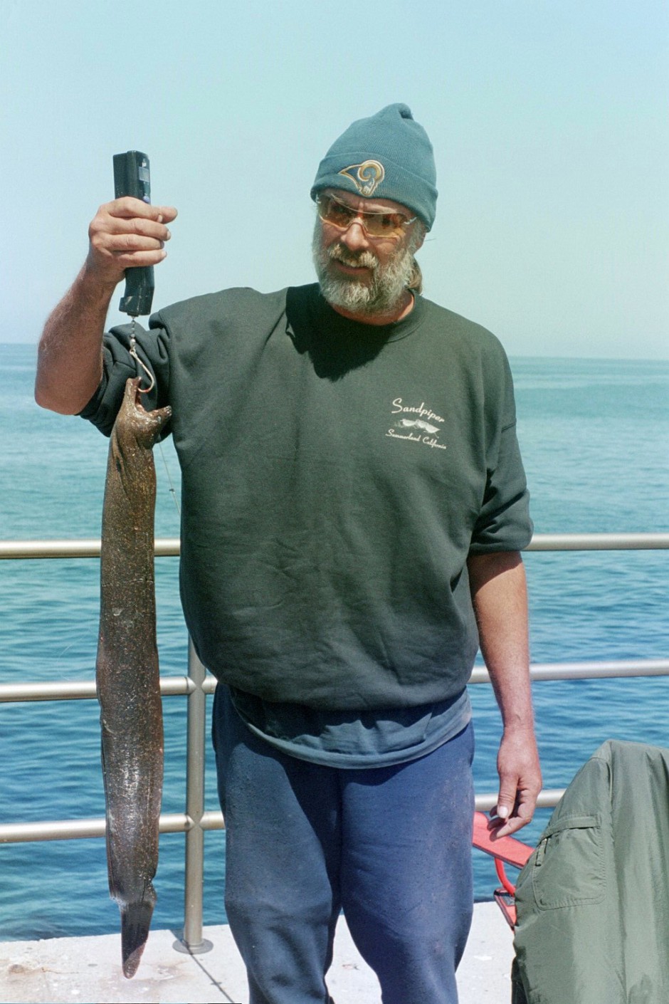 Cat_2003_Mole_Moray_Martin1