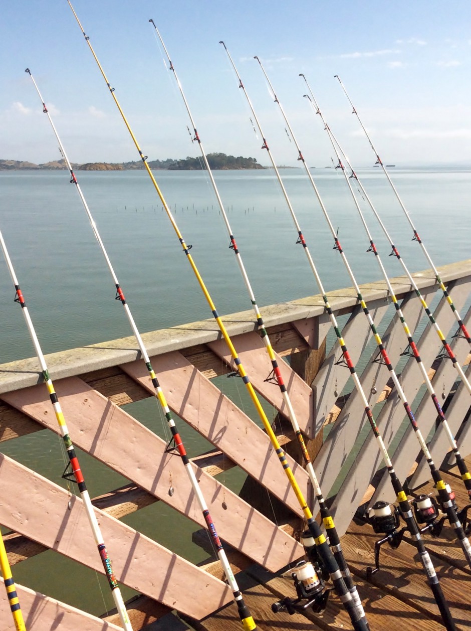 MRG_2015_KD_R1_Rods