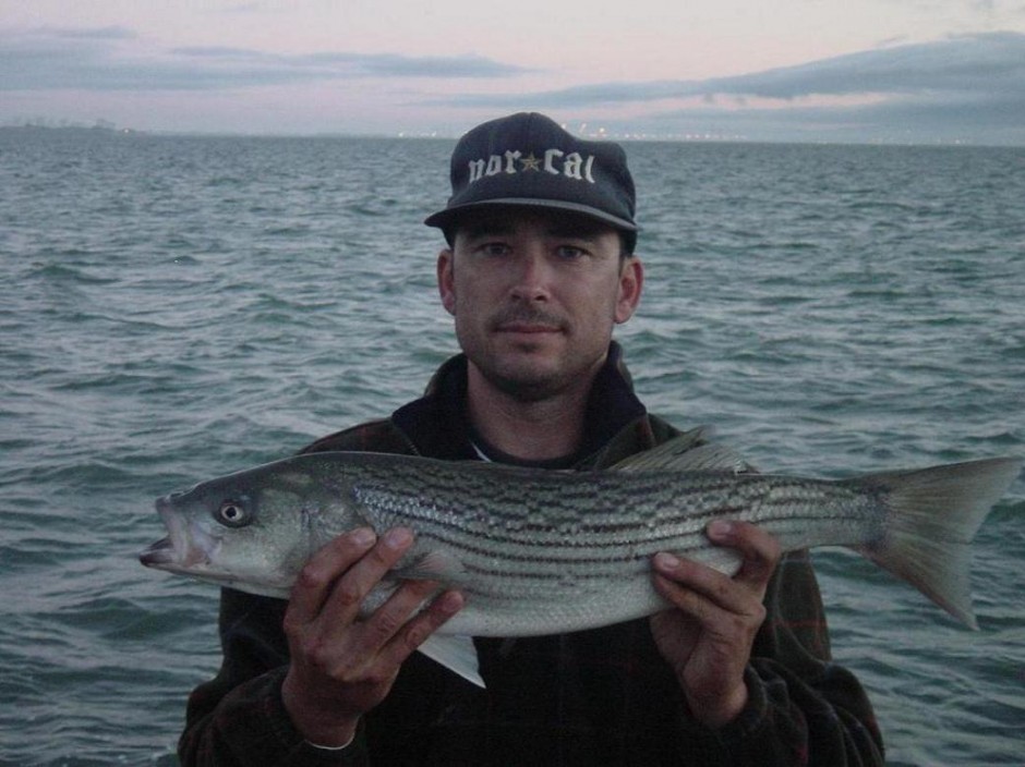 Striped Bass_Dumbarton_Pier_2004